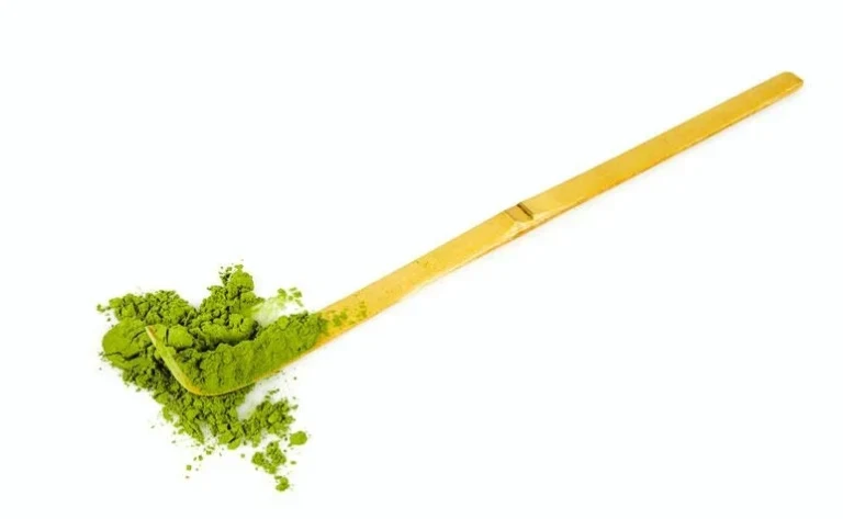 Bamboo matcha scoop, or chashaku, holding green matcha powder.