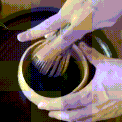 Proper hand position for holding a bamboo matcha whisk.