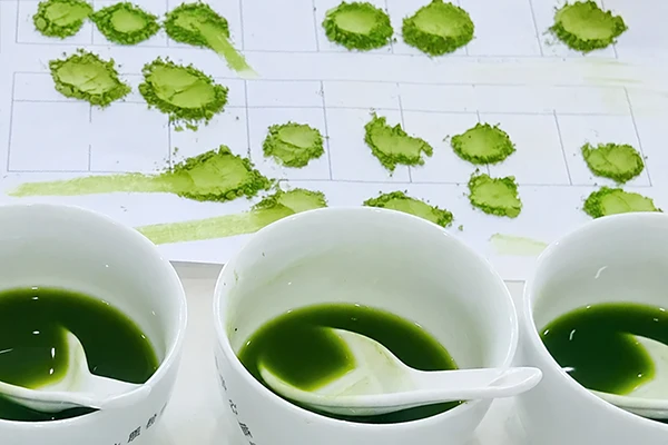Matcha powder and liquid samples arranged for quality evaluation.