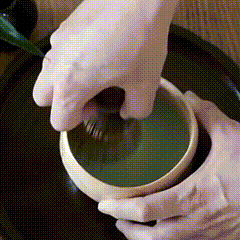 Moving the bamboo whisk gently across the surface to refine the matcha foam.