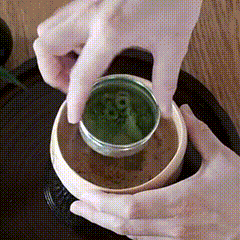 Sifting measured matcha powder through a fine mesh into a dry bowl.