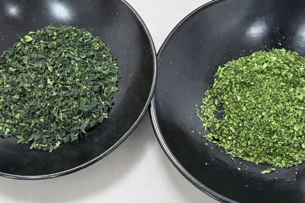 Two tencha leaf samples with different shades of green in black bowls.